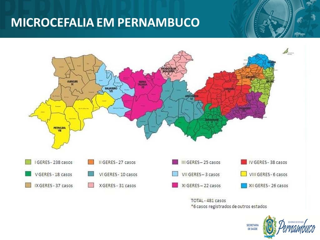 microcefalia-regioes